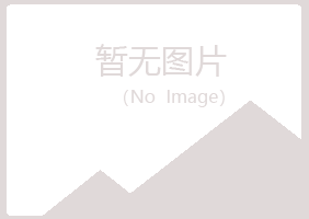 长治夏岚咨询有限公司